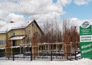 zestaw do stabilizacji   1
